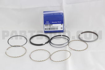2304026902 RING SET-PISTON