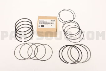230402E152 RINGSET-PISTON