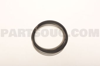 230402E602 RINGSET-PISTON