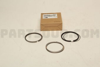 230402J110 RING SET-PISTON