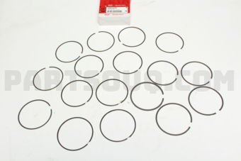 230403CGA0 RING SET-PISTON