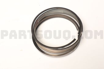 230403N500 RING SET-PISTON