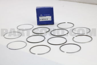2304041220 RING SET-PISTON