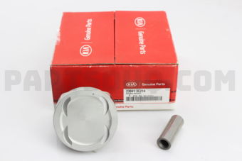 230413C214 PISTON  P