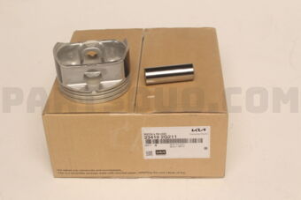 234102G211 PISTON + PIN ASSY
