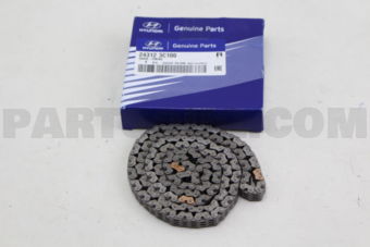 243123C100 CHAIN-TIMING