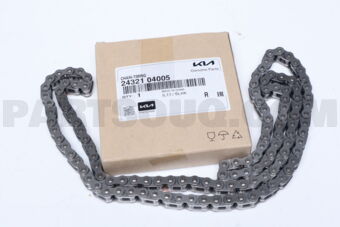 2432104005 CHAIN-TIMING