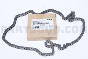 2432104005 CHAIN-TIMING