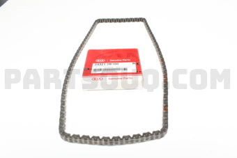 243212B100 CHAIN-TIMING