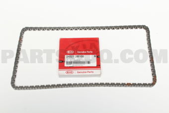 243212B100 CHAIN-TIMING