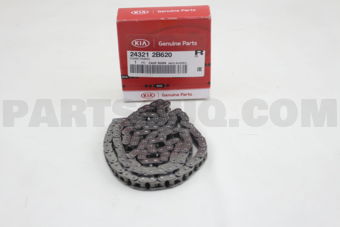 243212B620 CHAIN-TIMING