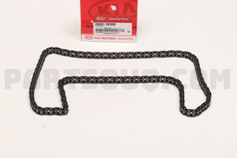 243212E200 CHAIN-TIMING