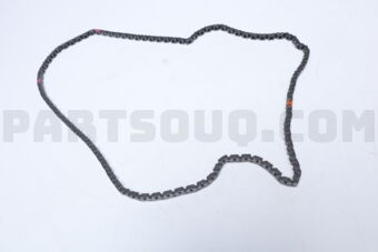 243212S100 CHAIN-TIMING