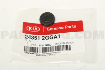 243512GGA1 PLUG