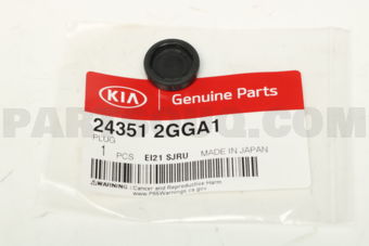 243512GGA1 PLUG