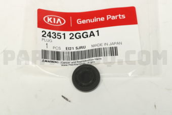 243512GGA1 PLUG