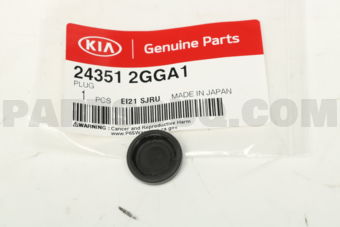 243512GGA1 PLUG