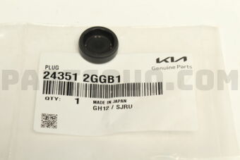 243512GGB1 PLUG