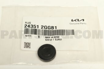 243512GGB1 PLUG