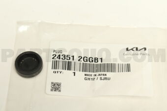 243512GGB1 PLUG