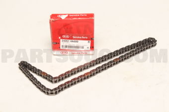 243514A600 CHAIN-TIMING