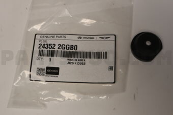 243522GGB0 PLUG