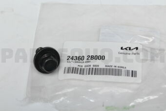 243602B000 BOLT-WASHER ASSY