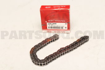 243614A600 CHAIN-TIMING