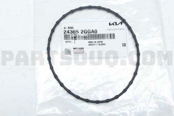 243652GGA0 O-RING