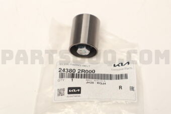 243802R000 IDLER-TIMING BELT