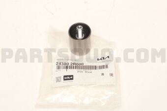 243802R000 IDLER-TIMING BELT