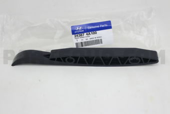 243874A100 GUIDE-TIMING CHAIN