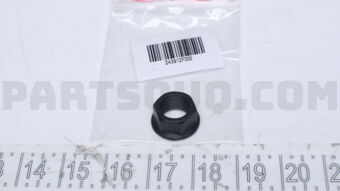 243912F000 NUT