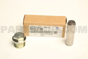 244103F300 TENSIONER ASSY-TIMING CHAIN
