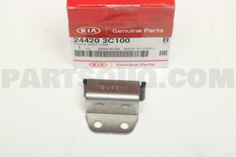 244203C100 GUIDE ASSY-CAM