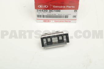 244203C100 GUIDE ASSY-CAM