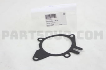 251242X000 GASKET-W PUMP