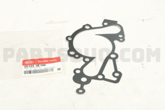 251243E100 GASKET-WATER PUMP