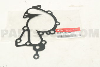 251243E100 GASKET-WATER PUMP