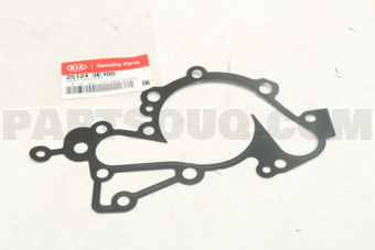 251243E100 GASKET-WATER PUMP