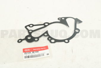 251243E100 GASKET-WATER PUMP