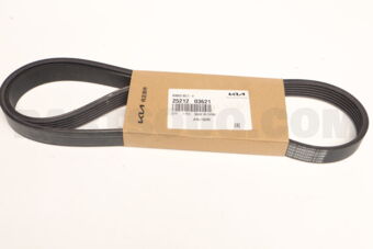 2521203621 RIBBED BELT-V