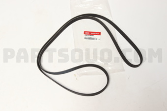 252122B000 V-RIBBED BELT