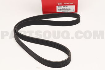 252122B720 BELT V