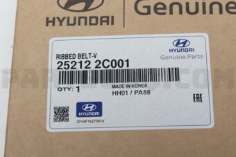 252122C001 V-RIBBED BELT