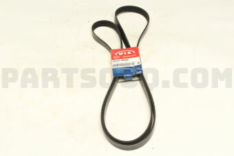 252122E800 V-RIBBED BELT
