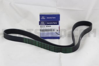 252122E820 V-RIBBED BELT