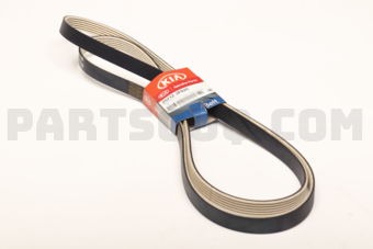 252122F020 RIBBED BELT-V