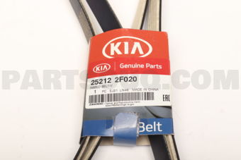 252122F020 RIBBED BELT-V