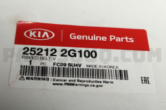 252122G100 V-RIBBED BELT